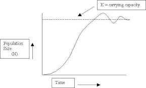 How Do You Find Carrying Capacity On A Graph Example