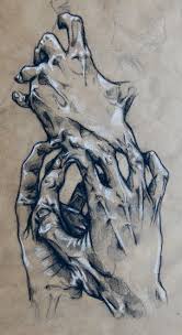Ap Central Exams 2013 Studio Art Drawing Portfolio Student Samples Anatomy Art Ap Studio Art Art Portfolio