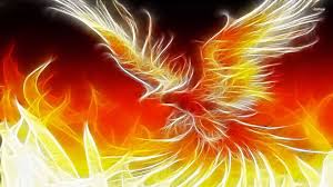You can also upload and share your favorite phoenix bird wallpapers. Phoenix Bird Wallpapers Wallpaper Cave
