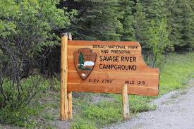 Denali national park rv camping. Savage River Campground Picture Of Savage River Denali National Park And Preserve Tripadvisor