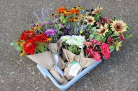 See more arts & crafts. Random Acts Of Flowers Emerald Design
