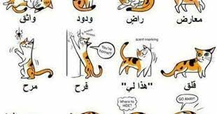 pin by نوران ايمن on العناية بالحيوانات الاليفة character fictional characters art