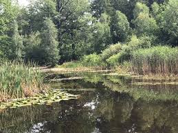 Highlights in der dresdner heide. Langebruck Silbersee In Der Dresdner Heide Nahe Bei Facebook