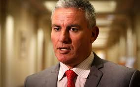 Davis confident of future Labour Māori MP numbers