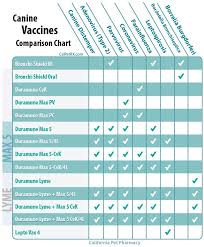 Learn everything about essential puppy vaccinations, complete with a dog shot schedule, estimated vaccination costs and more. Pomeranian Dog Vaccination Chart Novocom Top