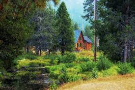 Maybe you would like to learn more about one of these? Tucked Away Cabin Lake Tahoe Photograph By Glenn Mccarthy Art And Photography