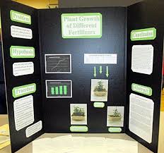 Do Coffee Grounds Affect The Growth Of Plants Science Fair Plant Science Science Fair Science