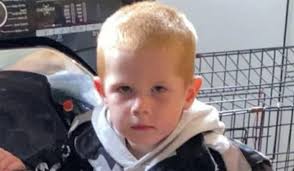 Silly goose! Bird found wandering around in red thong...