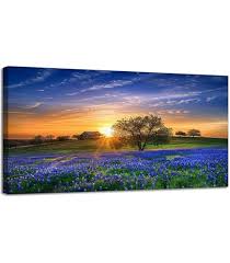 Image result for Bluebonnet Blue 1958 Plymouth