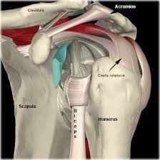 Repaus, aplicaţii locale cu gheaţă sau administrarea de antiinflamatorii nesteroidiene. Infiltratii Cu Cortizon In Umar
