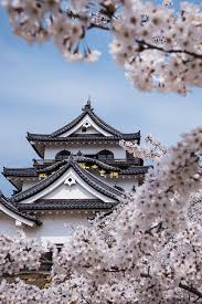 Japan Travel Tips Expert Advice For An Amazing Trip Japan Itinerary Japan Travel Japan Travel Tips