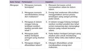 Adik adik bisa menjadikan kunci kunci jawaban ini sebagai panduan dan menjabarkan sendiri kunci jawaban kelas 4 tema 2 selalu berhemat energi. Kunci Jawaban Kelas 5 Sd Tema 2 Halaman 16 17 18 19 20 21 22 Buku Tematik Siswa Subtema 1 Pembelajaran 3 Udara Bersih Topiktrend