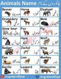 It has a number of useful tools, functions and wiz. Pin On Vocabulary Topics