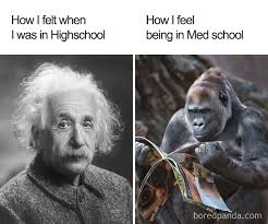These 93 Doctor Memes Are The Best Medicine If You Need A Laugh (WARNING:  Some Are Really Dark) | Bored Panda