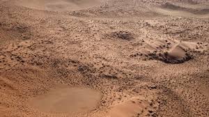 • the most famous cryptid in africa is the namibian flying snake. Sidewinder Snake Stock Footage Video 100 Royalty Free 3550973 Shutterstock