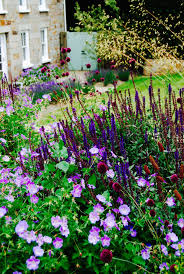 Geranium Jolly Bee And Salvia Nemerosa Caradonna Designed By Carolyn Grohmann Www Secretgardensdesign Co Uk Geraniums Salvia Garden Design