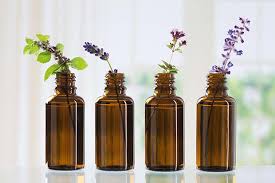 Best wall decor, it can showcase your photos, images, poster on 2 pieces of glass in a floating way. How To Turn Garden Plants And Weeds Into Perfume