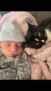 Another draft idk why I didn’t post it so cute #greenscreenvideo  #greenscreen