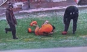 Browse our wide selection of browns tees, shirts, tank tops and more at nflshop.com. Even The Browns Indefatigable Elf Mascot Is Having A Bad Year For The Win