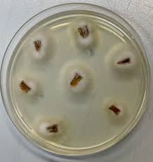 Heidi Clements (@HeidiAClements)