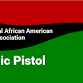 NAAGA Basic Pistol Class - Nov 2025 event image