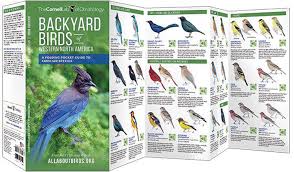 There is enough diversity and plumage in the mountains of southern appalachia i have been mesmerized by the birds of north carolina ever since i was a child. Backyard Birds Western North America All About Birds Pocket Guide