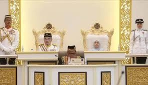Sebagai tokoh politik yang berwibawa, beliau telah bertanding dalam pilihanraya umum tahun 1978 bagi kerusi dewan undangan negeri bukit ibam (dalam. Yang Dipertua Negeri Melaka Sinar Harian