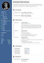 Curriculum Vitae Maker A Better Resume Builder With The Best Resume Templates