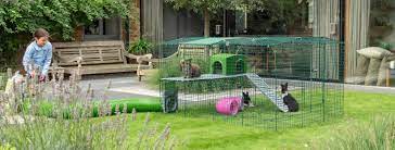 Omlet World Famous Pet Products Posts Facebook