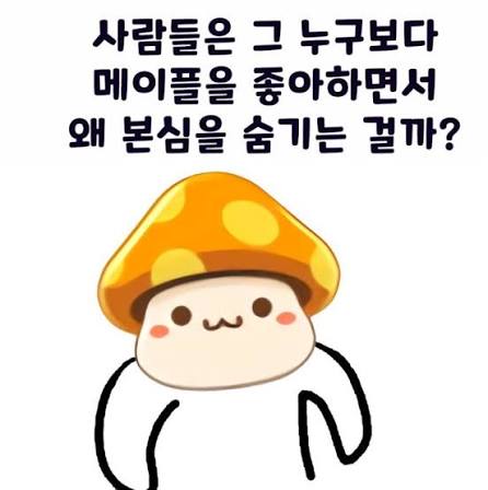 메이플 웃긴짤 : 네이버 블로그