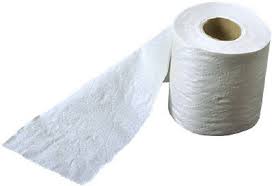 Toilet Tissue Baby Shower Game