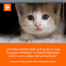 Sep 07, 2018 · heute ist weltkatzentag nicht nur aus zufriedenheit: Deutschlandfunk Kultur Heute Ist Weltkatzentag Und Was Sagen Sie Lieber Katze Hund Oder Konnen Sie Beide Nicht Ausstehen P S Der Welttag Des Hundes Ist Ubrigens Am 10 Oktober Facebook