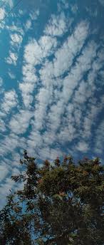 640pixels x 960pixels size : Langit Biru Langit Biru Fotografi Alam Langit