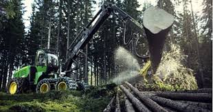 Pin En Procesadoras Forestales