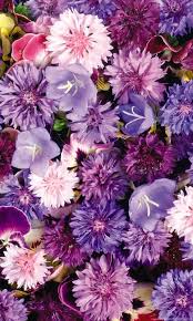 Check spelling or type a new query. Purple Flowers Wallpapers Tumblr Aesthetic Purple Flowers Background 480x800 Download Hd Wallpaper Wallpapertip