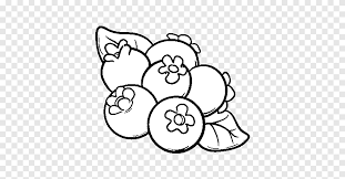 Plus, it's an easy way to celebrate each season or special holidays. Muffin Coloring Book Blueberry Colouring Pages Blueberry Fruit Angle White Png Pngegg