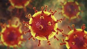 In humans and birds, they cause respiratory tract infections that can range from mild to lethal. Who Entlarvt Mythen Um Das Coronavirus Swr Wissen