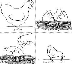 Preschoolers should be active for two hours or more each day. Animal Life Cycle Worksheet For Kids Crafts And Worksheets For Preschool Toddler And Kindergarten Sequencing Cards Sequencing Activities Sequencing Pictures