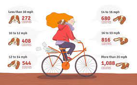 At the end of the ride a total of 498 calories were burned with an average heart rate of 106 beats per minute. Biking To Lose Weight The Healthy