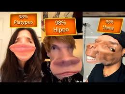 Genetic Heritage Filter Compilation Snapchat Know Your Meme
