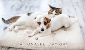 Healing and change can occur when we come together in love and acceptance as one human family. National Pet Day Nationalpetday Twitter