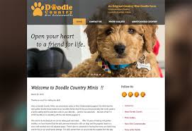 We also use english golden retriever for the teddy bear look in our mini goldendoodle puppies and they have. Doodle Country Minis Circle City Web Design