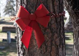 Click the christmas holly with bow coloring pages to view printable version or color it online (compatible with ipad and android tablets). Hd Wallpaper Holiday Decor Red Bow Holly Christmas Decor Holiday Spirit Wallpaper Flare