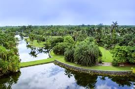 William Lyman Phillips Biography