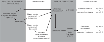 logic chart of the method of coding ontogeny parameters