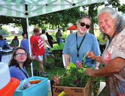 Highlights from SCSDB Hornet's Nest