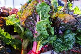 スイスチャード フダンソウ 不断草 の栽培 育て方のポイントは Horti ホルティ By Greensnap