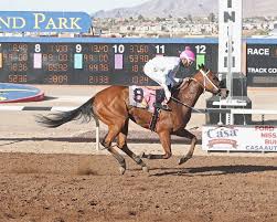 New Mexico Horse Breeders' Association