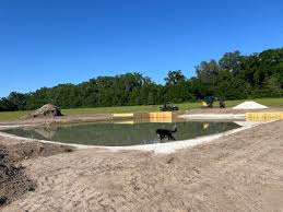 Image result for tbn:cRxpWML3C6TQFM::farm3.static.flickr.com/2382/2420623259_e3c8cd4fd8.jpg