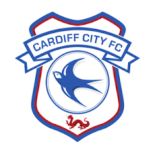 اذا كان الفيديو لا يعمل : Homepage Cardiff